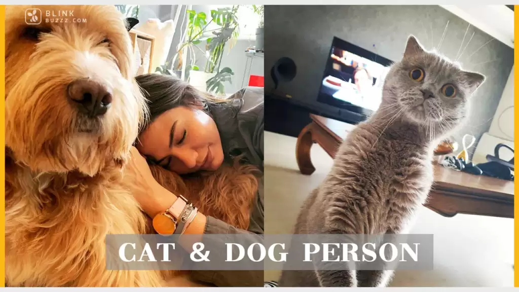 What You Didn't Know About Demet Özdemir Until Now demet ozdemir cat